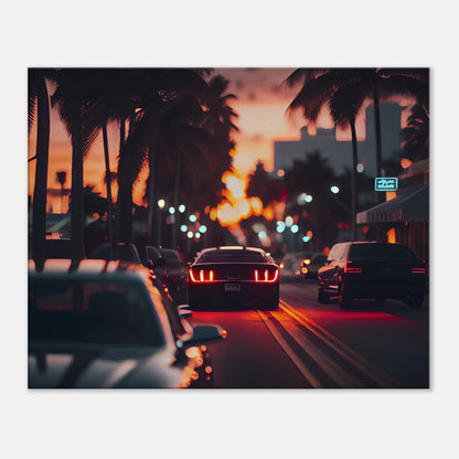 Miami - Canvas - Evening Cruise